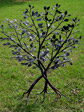 Baum