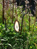 Schönes für den Garten