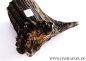 Preview: Hirschhorn-Abschnitt 91 g