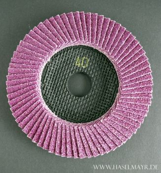 Preview: Trimfix Black Mamba Fächerschleifscheibe 125 x 22,2 mm K 40