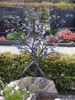 Lebensbaum