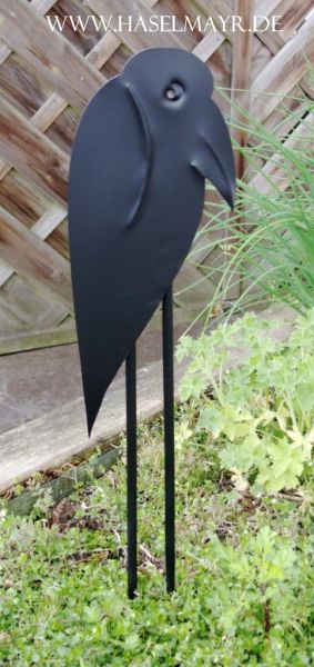 Rabe Schwarz
